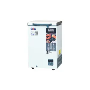 Freezer Box 100 Liter