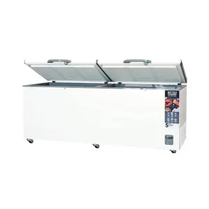 Freezer Box 700 Liter