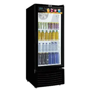 Rsa Showcase Chiller 1 Pintu Kecil