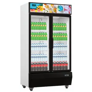 Rsa Showcase Chiller 2 Pintu