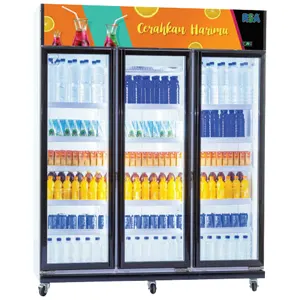 Rsa Showcase Chiller 3 Pintu Amethyst