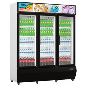 Rsa Showcase Chiller 3 Pintu